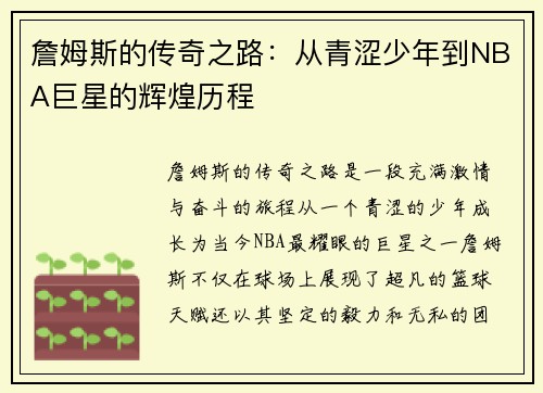 詹姆斯的传奇之路：从青涩少年到NBA巨星的辉煌历程
